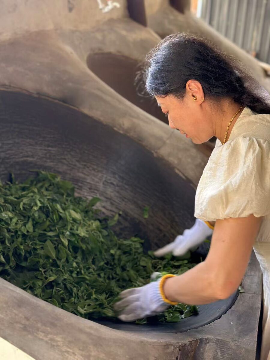 老娜杀青翻炒茶叶