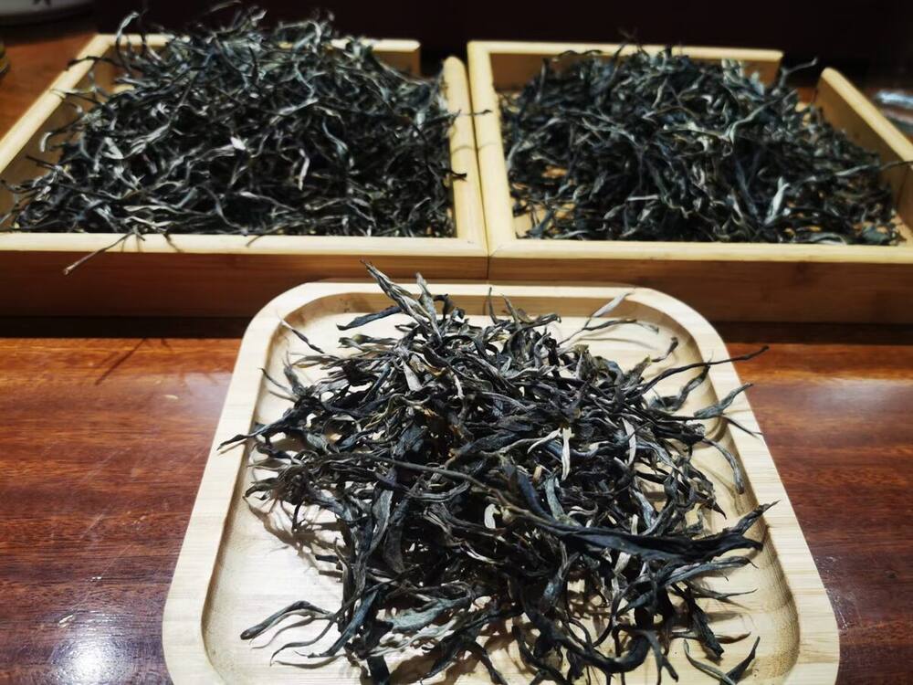 忙肺古树茶