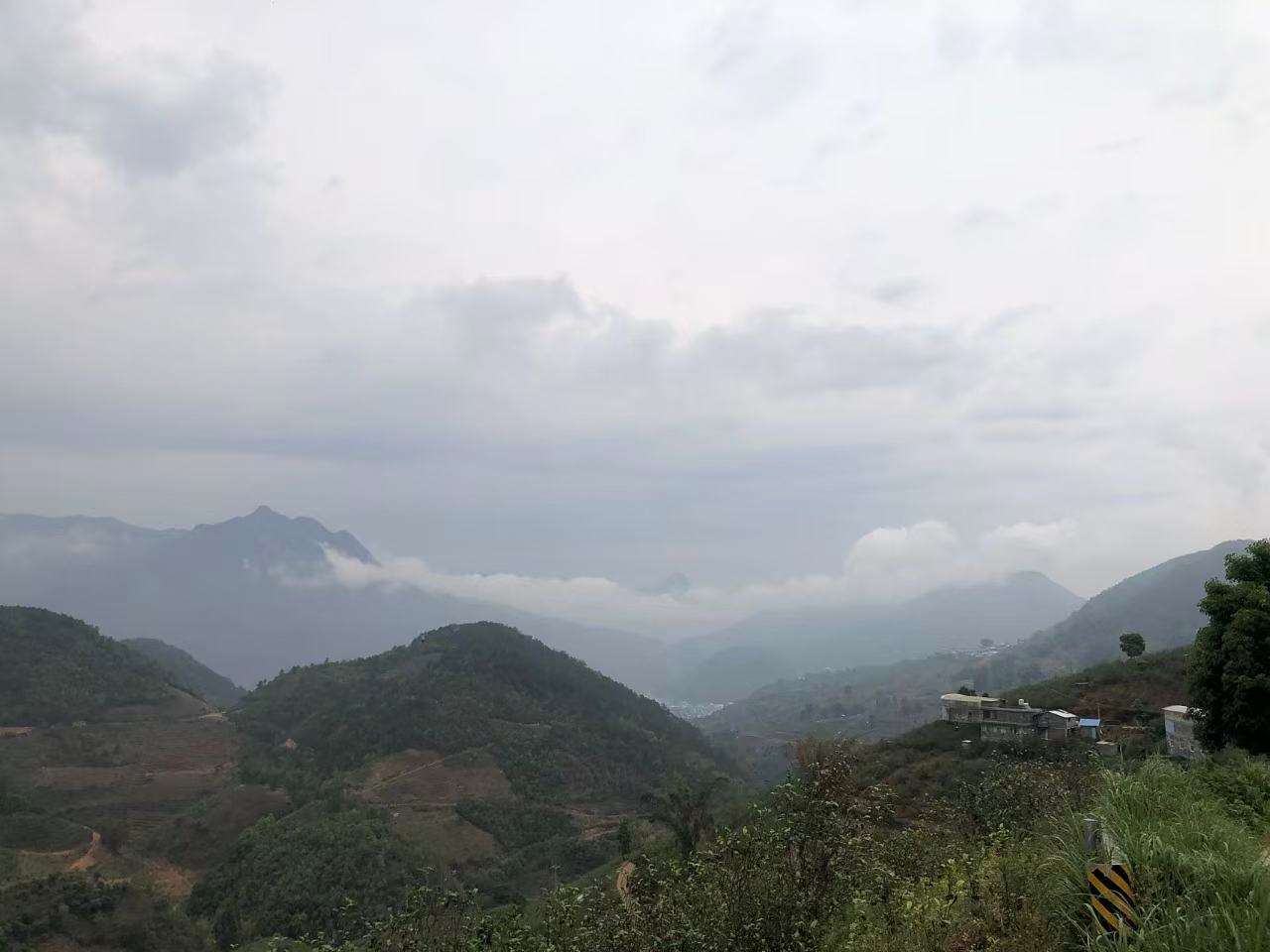 云南茶山雨季云雾缭绕