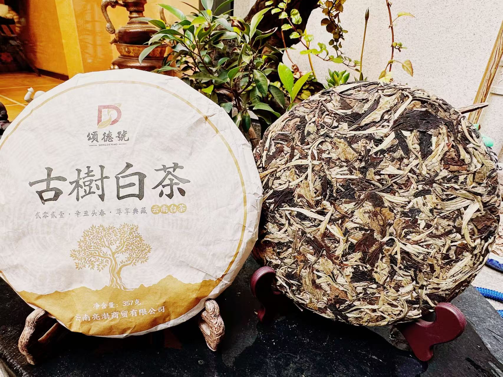 古树白茶饼